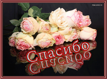 http://mga.ucoz.ru/Spasibo/spasibo_cvety.gif